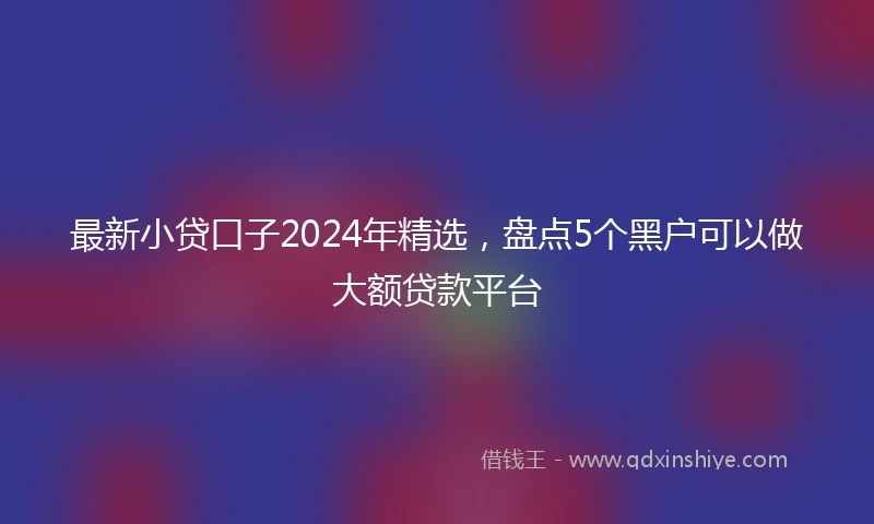 最新小贷口子2024年精选，盘点5个黑户可以做大额贷款平台