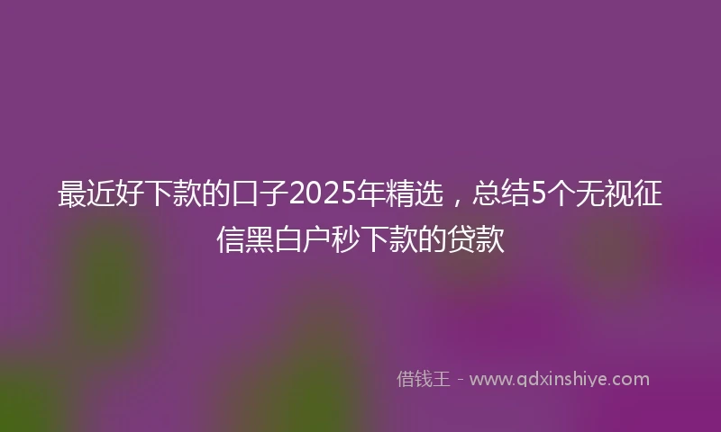 最近好下款的口子2025年精选，总结5个无视征信黑白户秒下款的贷款