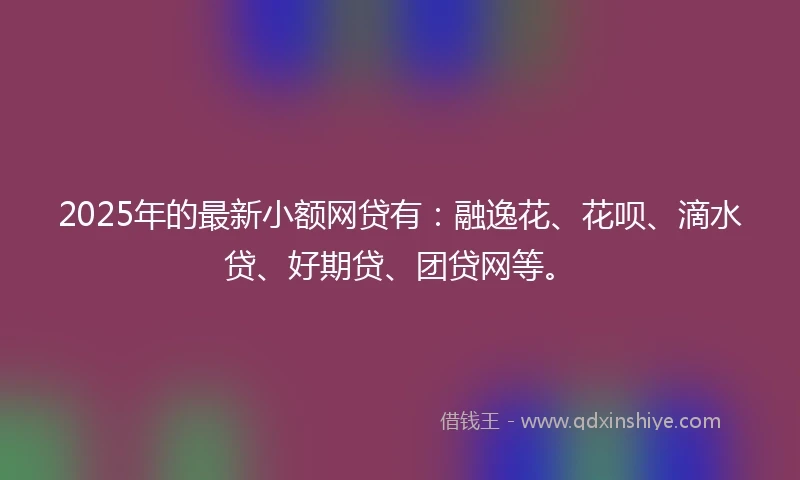 2025年的最新小额网贷有：融逸花、花呗、滴水贷、好期贷、团贷网等。
