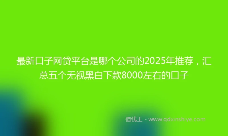 最新口子网贷平台是哪个公司的2025年推荐，汇总五个无视黑白下款8000左右的口子