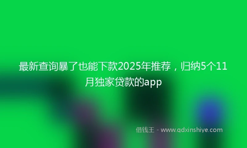 最新查询暴了也能下款2025年推荐，归纳5个11月独家贷款的app