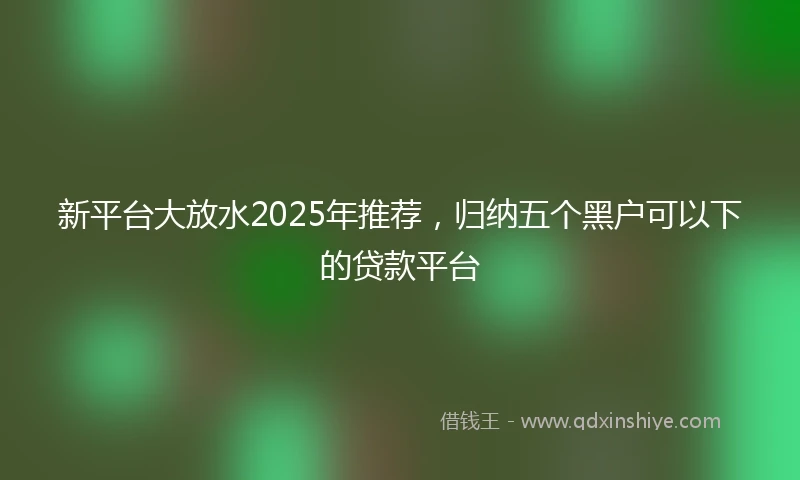 新平台大放水2025年推荐，归纳五个黑户可以下的贷款平台