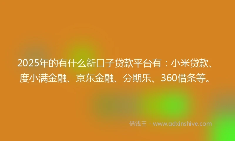 2025年的有什么新口子贷款平台有：小米贷款、度小满金融、京东金融、分期乐、360借条等。