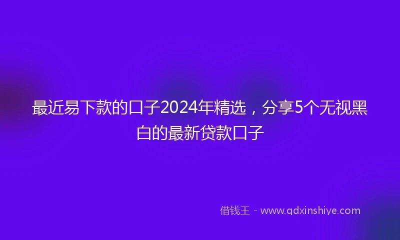 最近易下款的口子2024年精选，分享5个无视黑白的最新贷款口子