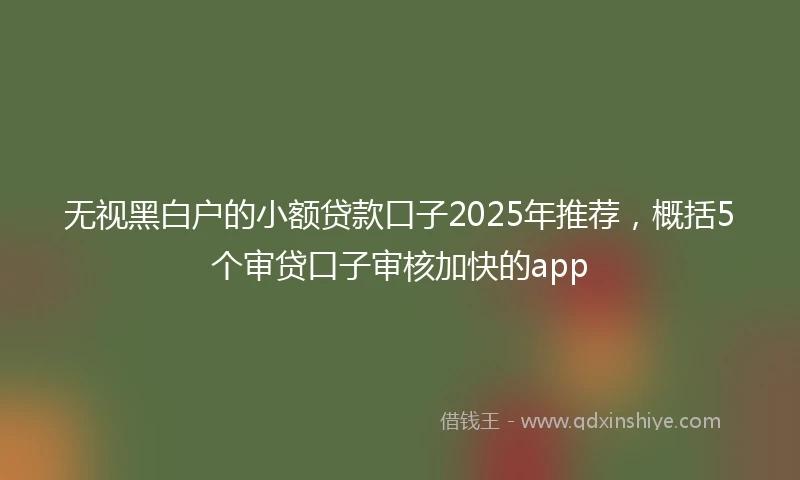 无视黑白户的小额贷款口子2025年推荐，概括5个审贷口子审核加快的app