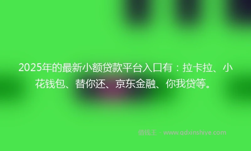 2025年的最新小额贷款平台入口有：拉卡拉、小花钱包、替你还、京东金融、你我贷等。