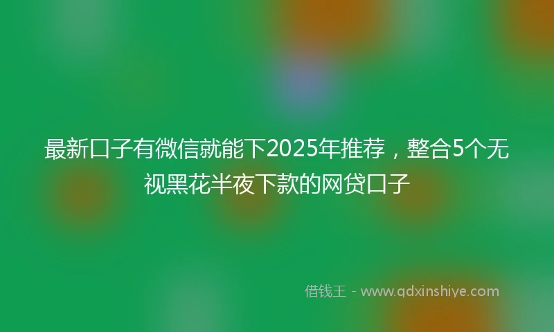 最新口子有微信就能下2025年推荐，整合5个无视黑花半夜下款的网贷口子