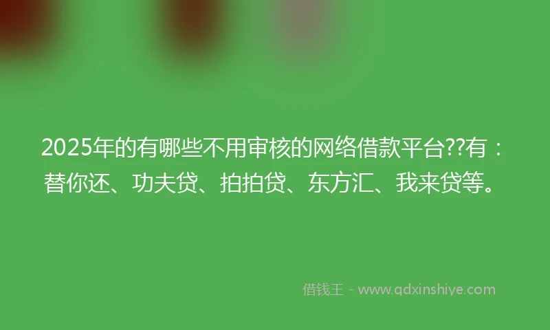 2025年的有哪些不用审核的网络借款平台??有：替你还、功夫贷、拍拍贷、东方汇、我来贷等。