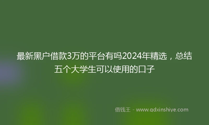 最新黑户借款3万的平台有吗2024年精选，总结五个大学生可以使用的口子