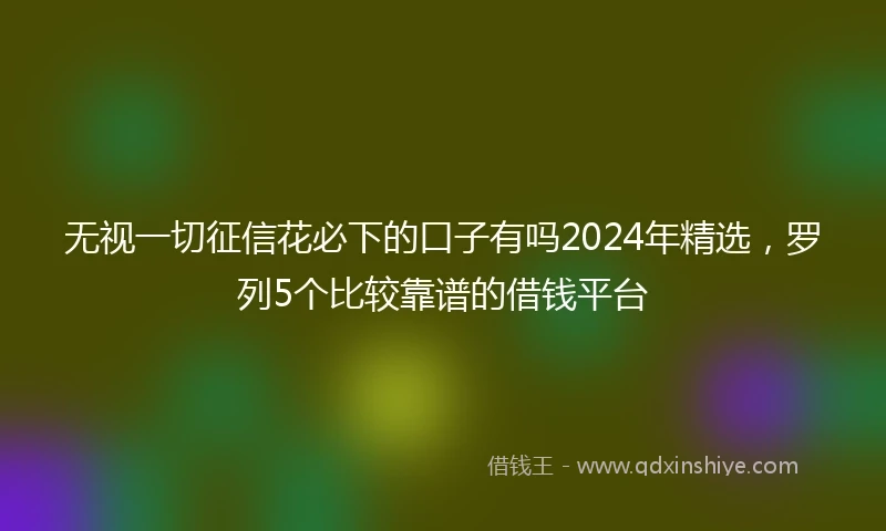 无视一切征信花必下的口子有吗2024年精选，罗列5个比较靠谱的借钱平台