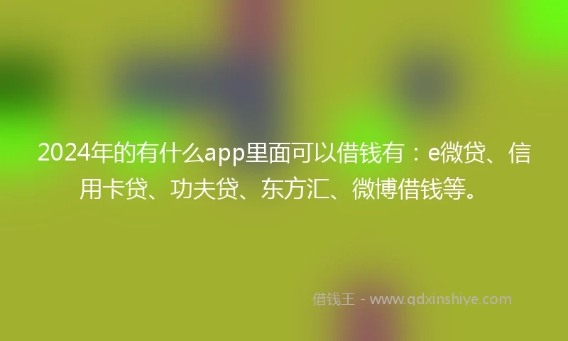 2024年的有什么app里面可以借钱有：e微贷、信用卡贷、功夫贷、东方汇、微博借钱等。