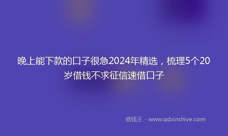 晚上能下款的口子很急2024年精选，梳理5个20岁借钱不求征信速借口子