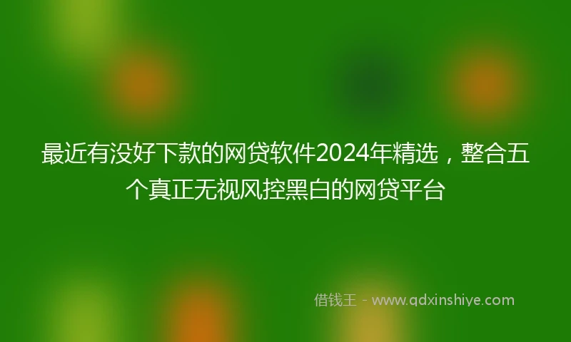 最近有没好下款的网贷软件2024年精选，整合五个真正无视风控黑白的网贷平台