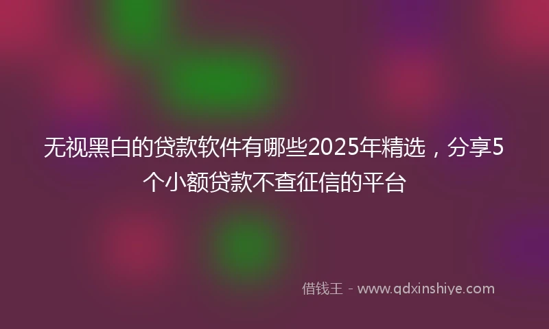 无视黑白的贷款软件有哪些2025年精选，分享5个小额贷款不查征信的平台
