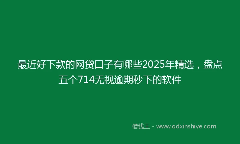 最近好下款的网贷口子有哪些2025年精选，盘点五个714无视逾期秒下的软件