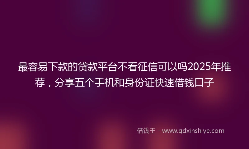 最容易下款的贷款平台不看征信可以吗2025年推荐，分享五个手机和身份证快速借钱口子