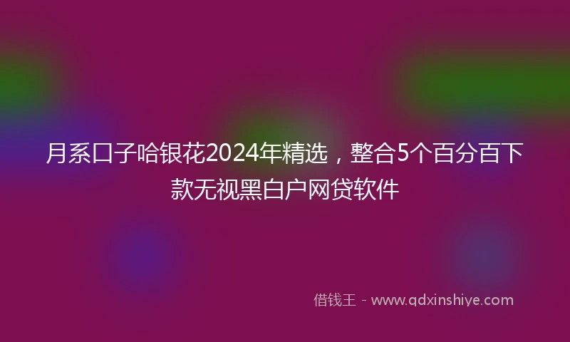 月系口子哈银花2024年精选，整合5个百分百下款无视黑白户网贷软件