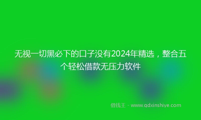 无视一切黑必下的口子没有2024年精选，整合五个轻松借款无压力软件