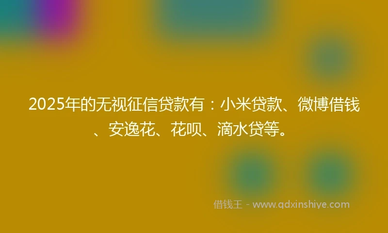 2025年的无视征信贷款有：小米贷款、微博借钱、安逸花、花呗、滴水贷等。