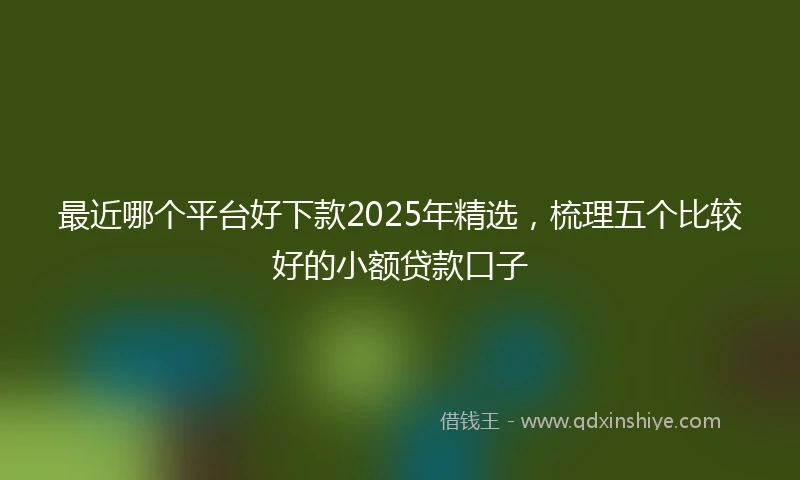 最近哪个平台好下款2025年精选，梳理五个比较好的小额贷款口子