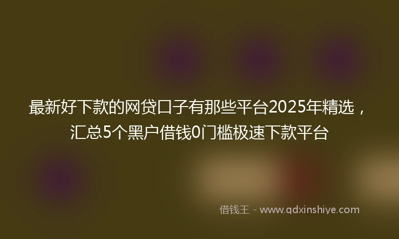 最新好下款的网贷口子有那些平台2025年精选，汇总5个黑户借钱0门槛极速下款平台