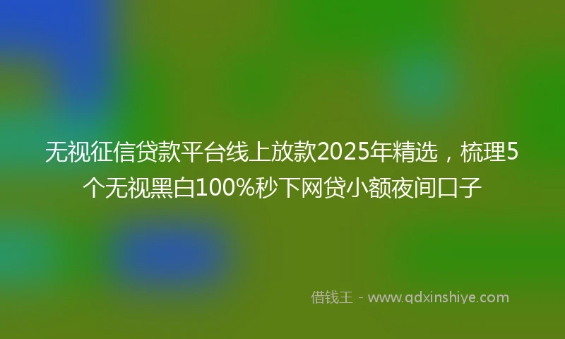 无视征信贷款平台线上放款2025年精选，梳理5个无视黑白100%秒下网贷小额夜间口子