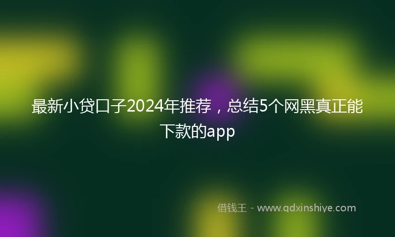 最新小贷口子2024年推荐，总结5个网黑真正能下款的app