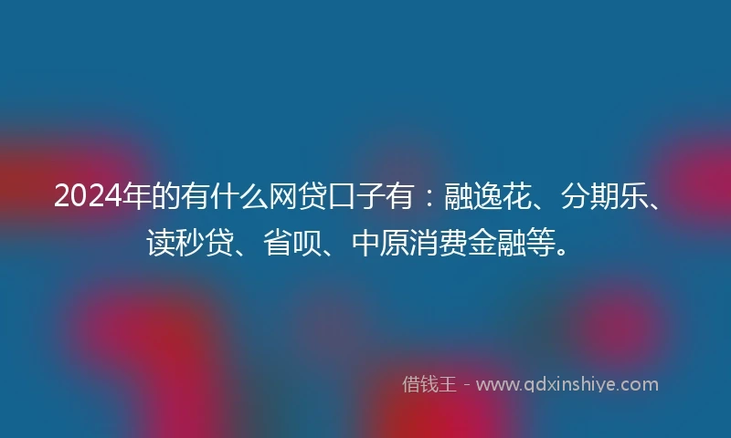 2024年的有什么网贷口子有：融逸花、分期乐、读秒贷、省呗、中原消费金融等。
