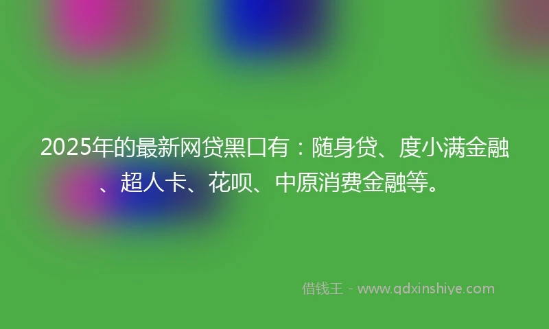 2025年的最新网贷黑口有：随身贷、度小满金融、超人卡、花呗、中原消费金融等。