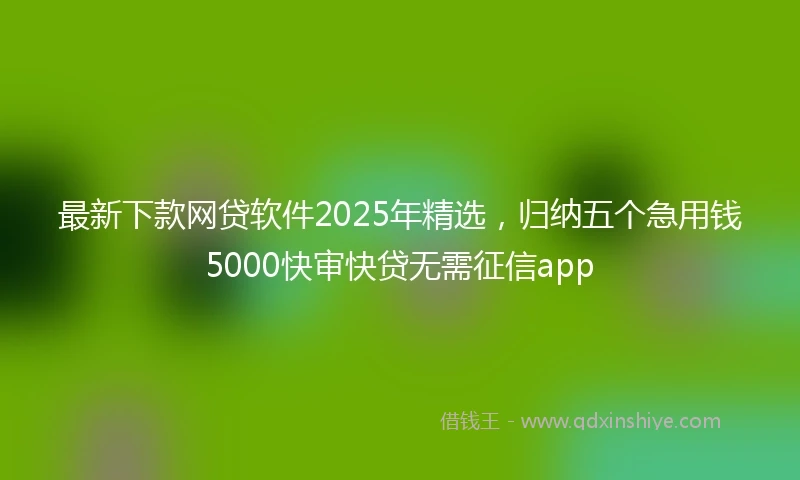 最新下款网贷软件2025年精选，归纳五个急用钱5000快审快贷无需征信app