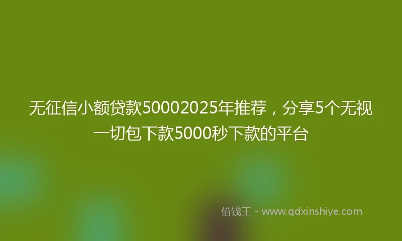 无征信小额贷款50002025年推荐，分享5个无视一切包下款5000秒下款的平台