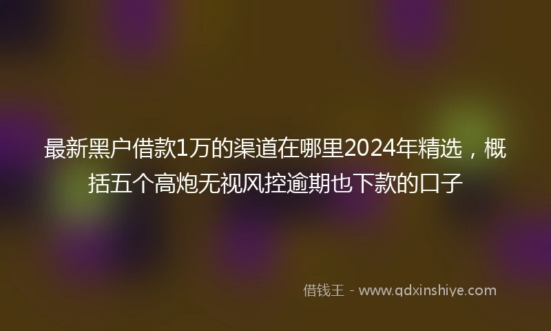 最新黑户借款1万的渠道在哪里2024年精选，概括五个高炮无视风控逾期也下款的口子