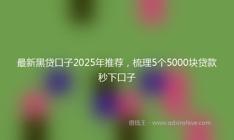 最新黑贷口子2025年推荐，梳理5个5000块贷款秒下口子