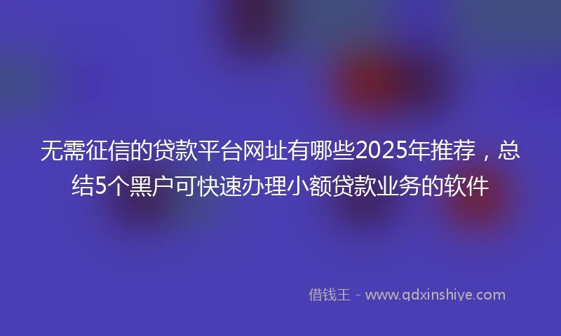 无需征信的贷款平台网址有哪些2025年推荐，总结5个黑户可快速办理小额贷款业务的软件