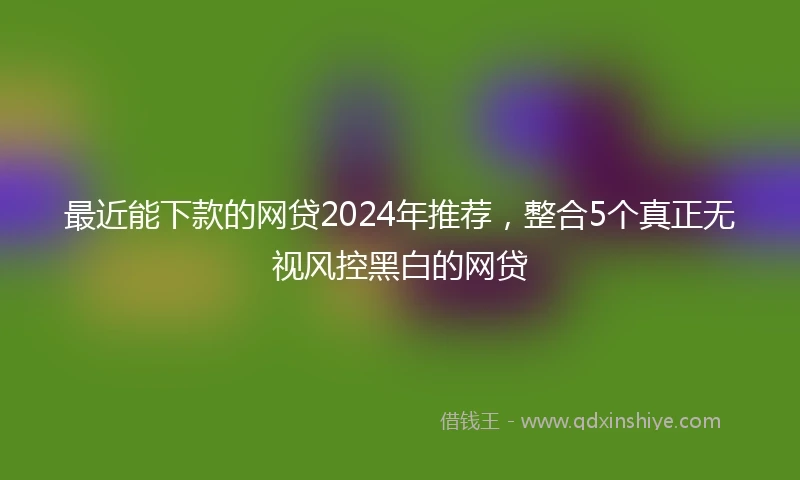 最近能下款的网贷2024年推荐，整合5个真正无视风控黑白的网贷