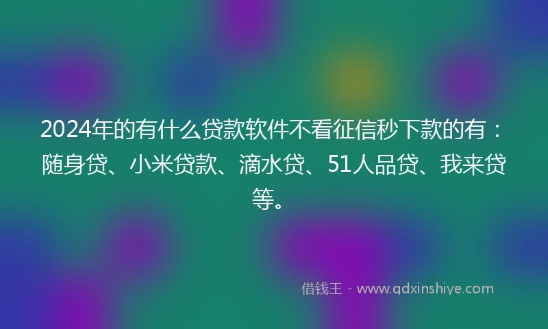 2024年的有什么贷款软件不看征信秒下款的有：随身贷、小米贷款、滴水贷、51人品贷、我来贷等。