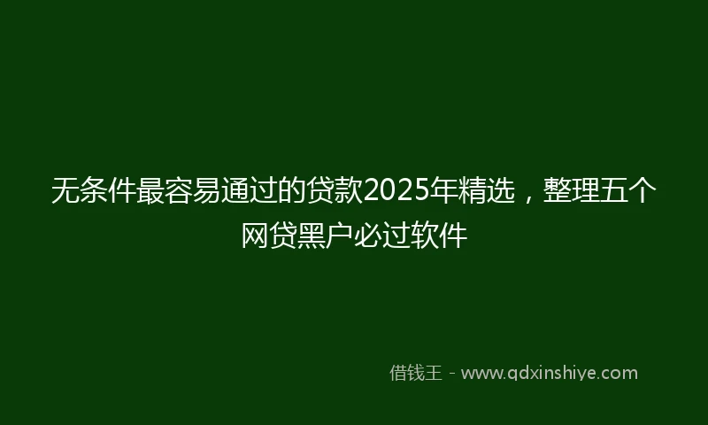 无条件最容易通过的贷款2025年精选，整理五个网贷黑户必过软件