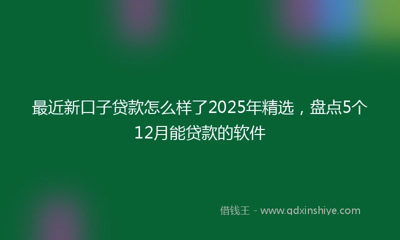 最近新口子贷款怎么样了2025年精选，盘点5个12月能贷款的软件