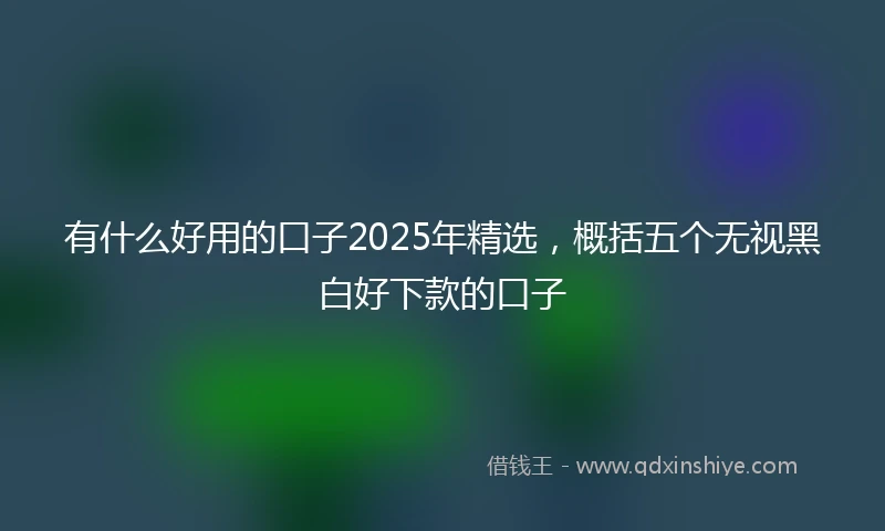 有什么好用的口子2025年精选,概括五个无视黑白好下款的口子