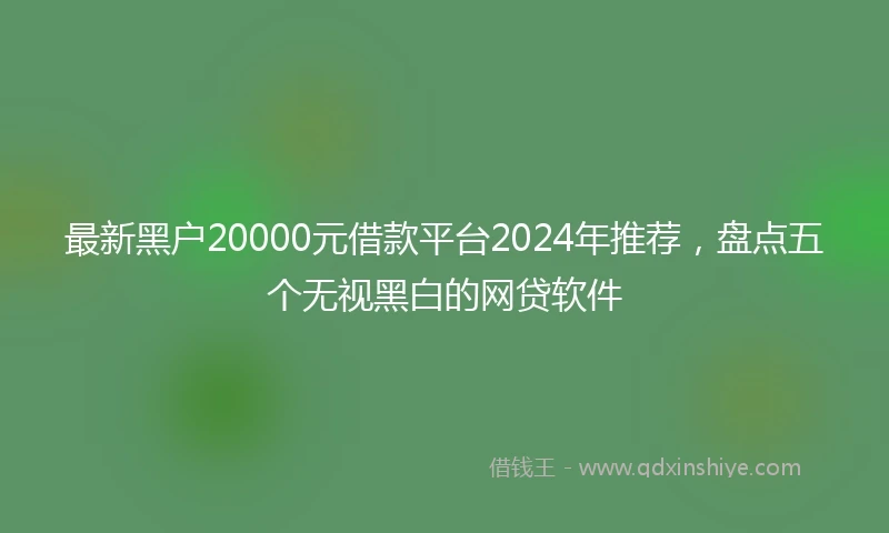 最新黑户20000元借款平台2024年推荐，盘点五个无视黑白的网贷软件