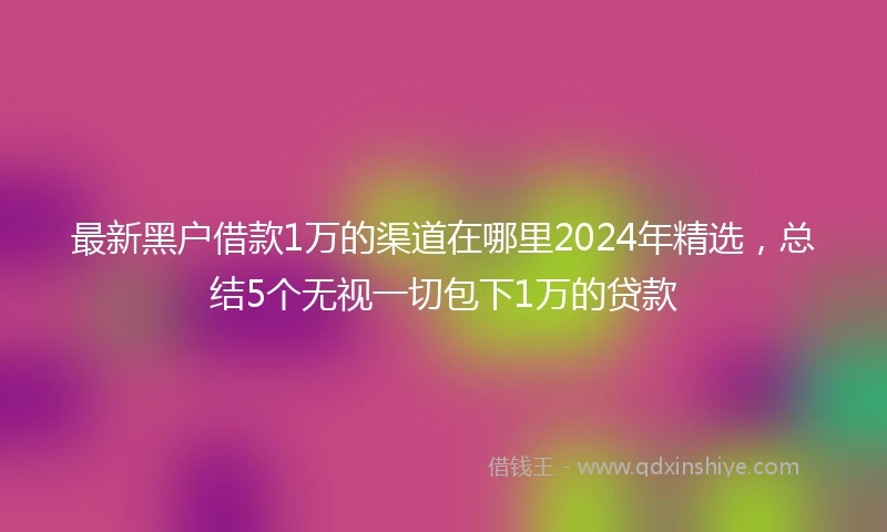 最新黑户借款1万的渠道在哪里2024年精选，总结5个无视一切包下1万的贷款