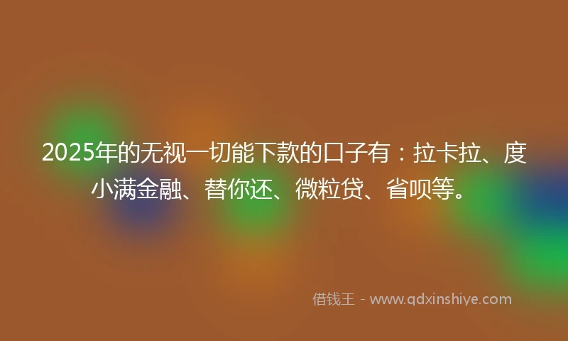 2025年的无视一切能下款的口子有：拉卡拉、度小满金融、替你还、微粒贷、省呗等。
