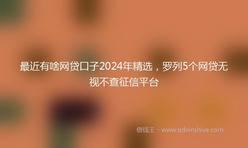 最近有啥网贷口子2024年精选，罗列5个网贷无视不查征信平台