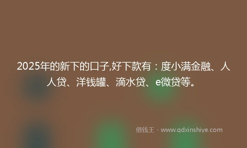 2025年的新下的口子,好下款有：度小满金融、人人贷、洋钱罐、滴水贷、e微贷等。