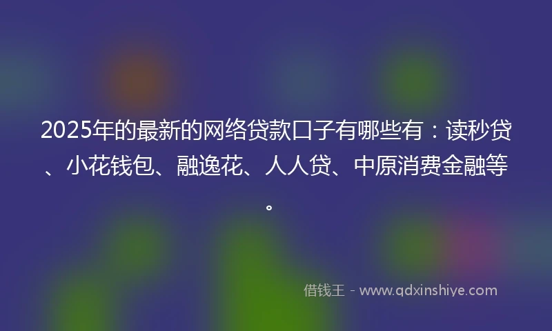 2025年的最新的网络贷款口子有哪些有：读秒贷、小花钱包、融逸花、人人贷、中原消费金融等。