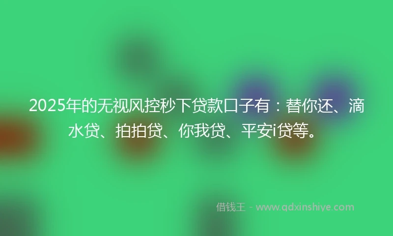 2025年的无视风控秒下贷款口子有：替你还、滴水贷、拍拍贷、你我贷、平安i贷等。