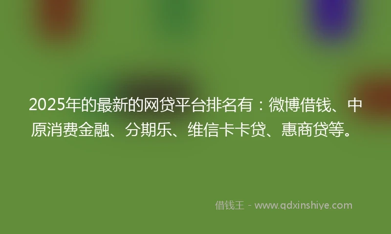 2025年的最新的网贷平台排名有：微博借钱、中原消费金融、分期乐、维信卡卡贷、惠商贷等。