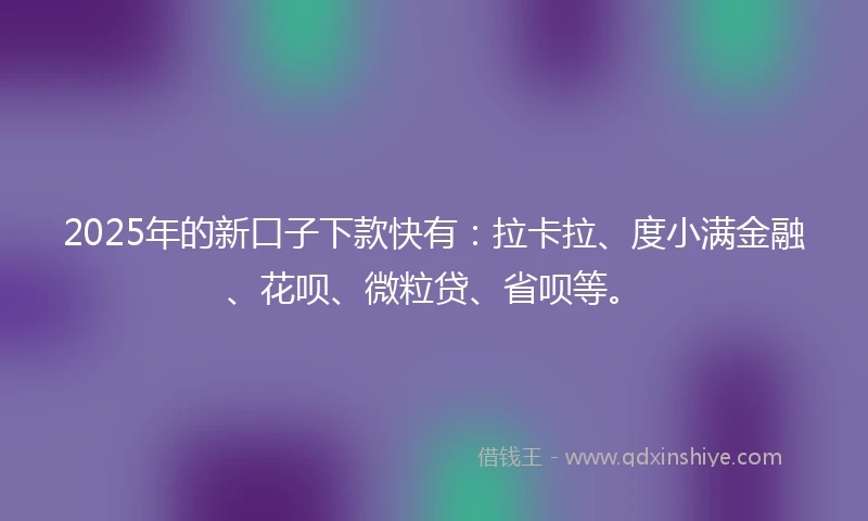 2025年的新口子下款快有：拉卡拉、度小满金融、花呗、微粒贷、省呗等。