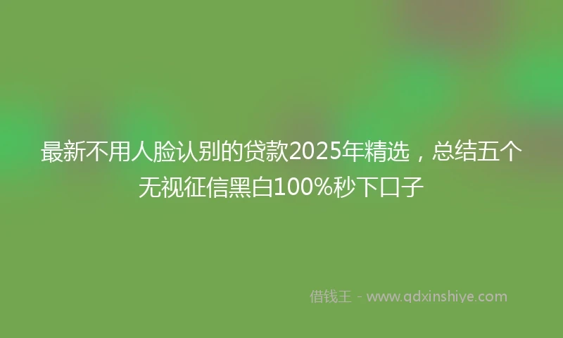 最新不用人脸认别的贷款2025年精选，总结五个无视征信黑白100%秒下口子