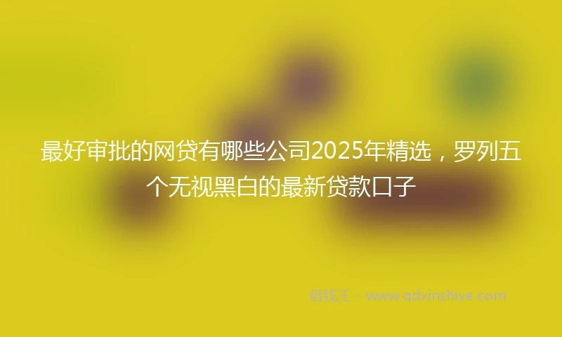 最好审批的网贷有哪些公司2025年精选，罗列五个无视黑白的最新贷款口子